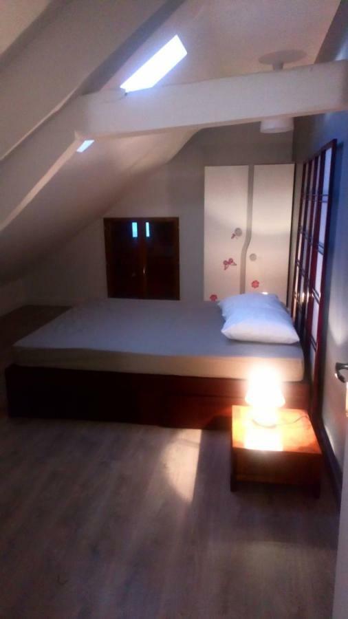 Maison Duplex & Appartement Sur Cour La Ferte-Gaucher Bagian luar foto